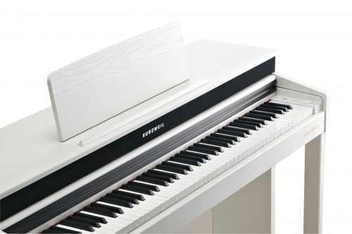 Kurzweil Andante CUP320 WH фото 6