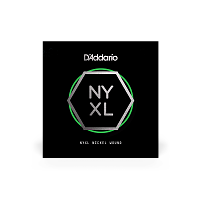 D`ADDARIO NYNW018